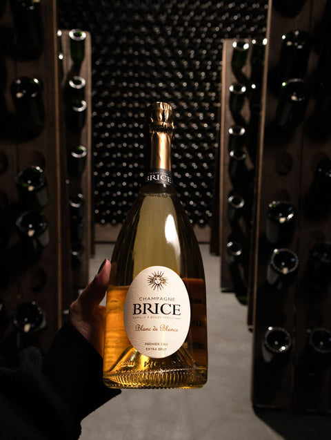 Champagne Brice Blanc de Blancs Extra Brut Premier Cru NV