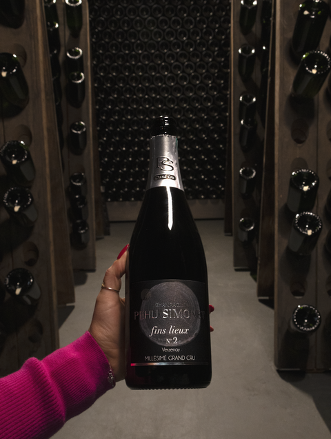 Champagne Pehu-Simonet Blanc de Noirs Fins Lieux N°2 Verzenay Les Crayeres Extra Brut Premier Cru 2013 Wine - Last Bottle